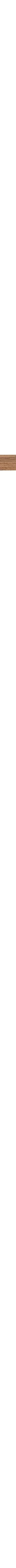 Brun à motifs