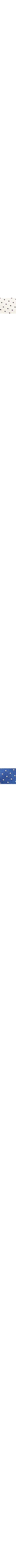 Patterned Blue