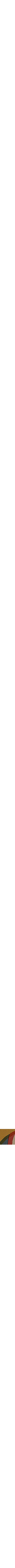 Jaune à motifs