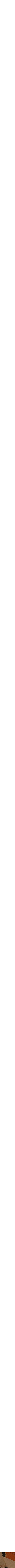 Noir à motifs
