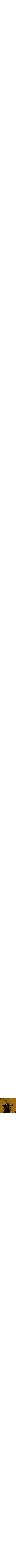 Jaune doré