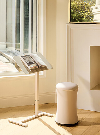 AnyDesk Nest Pro adjustable-height desk