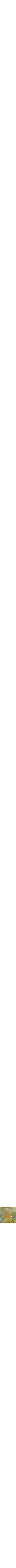 Or
