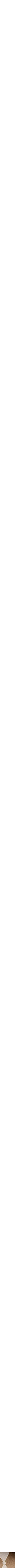 Assorti