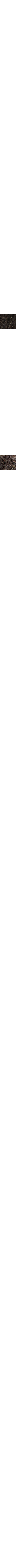 Brun à motifs