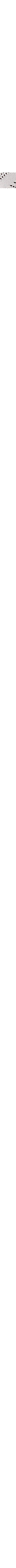 Blanc cassé