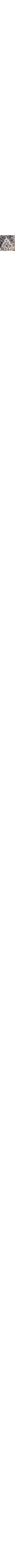 Écru à motifs