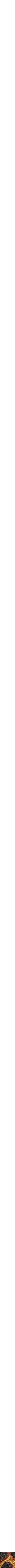 Assorti