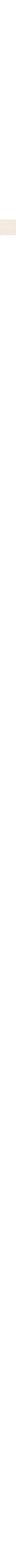 Ecru/Linen