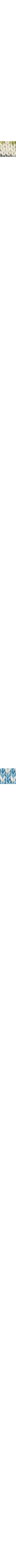 Patterned Blue
