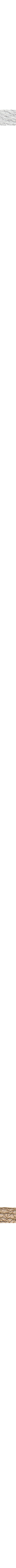 Assorti
