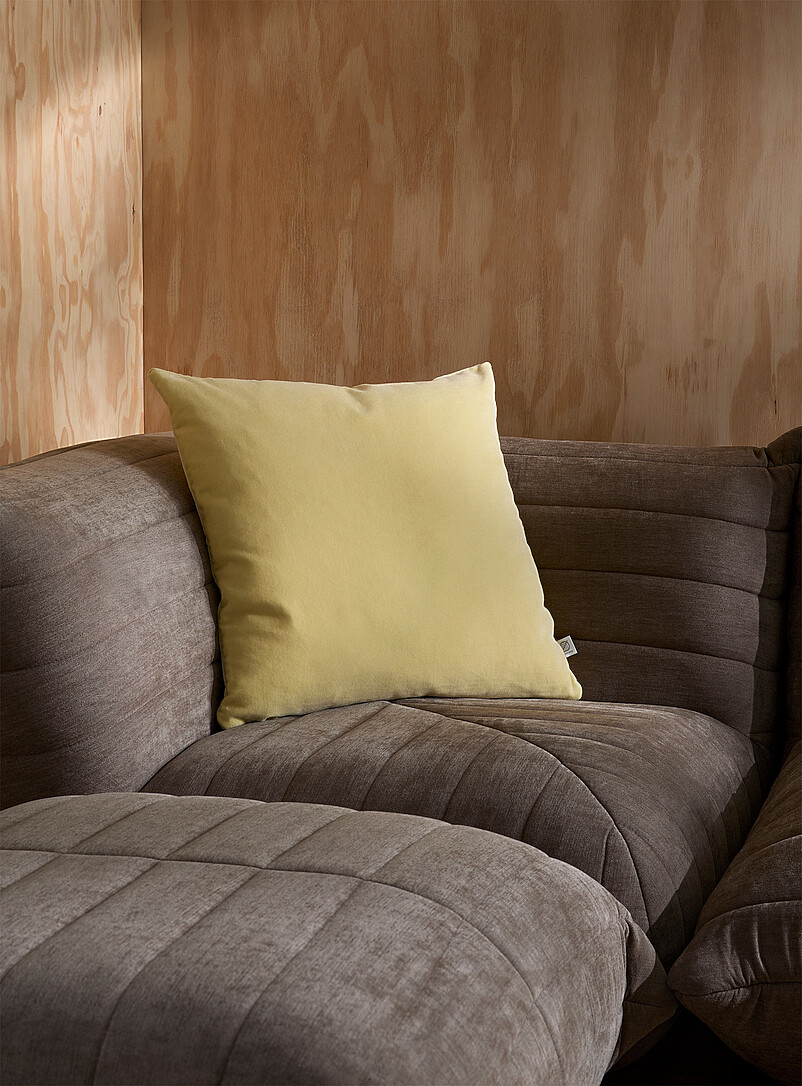 Soft Cotton Velvet Removable-Cover Cushion 50 X 50 Cm