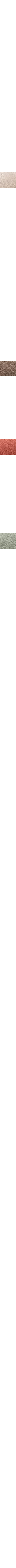 Cuivre - Rouille