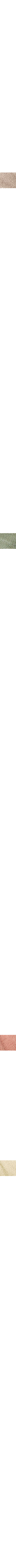 Blanc cassé