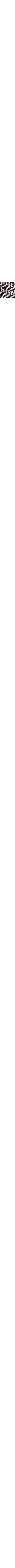 Blanc et noir