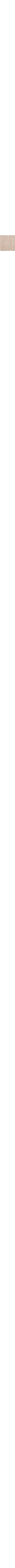 Écru à motifs