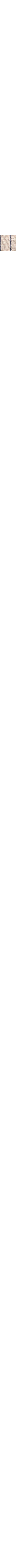 Écru à motifs