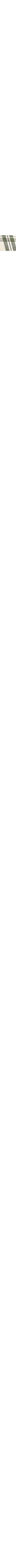 Patterned Ecru
