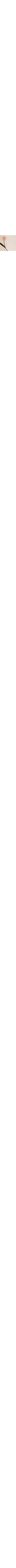 Écru à motifs