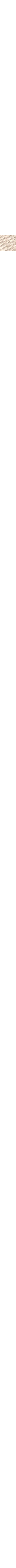 Écru à motifs