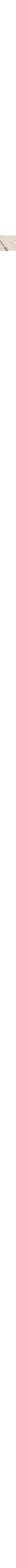 Écru à motifs