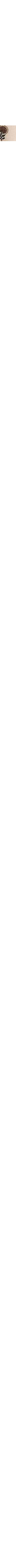 Patterned Cream