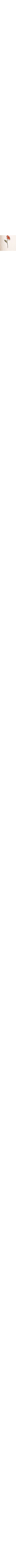 Patterned Ecru
