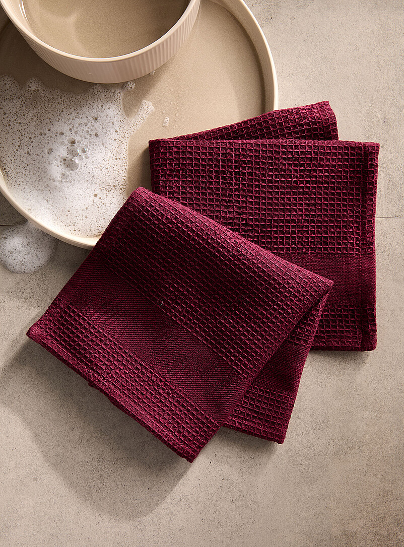 Monochrome Dishcloths Set Of 2