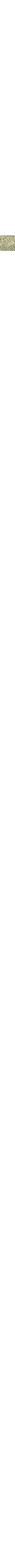 Patterned Ecru