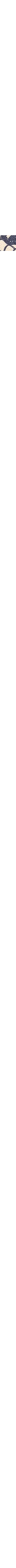 Patterned Ecru
