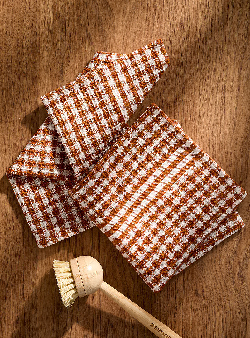 Seasonal Gingham Dishcloth Set Of 2