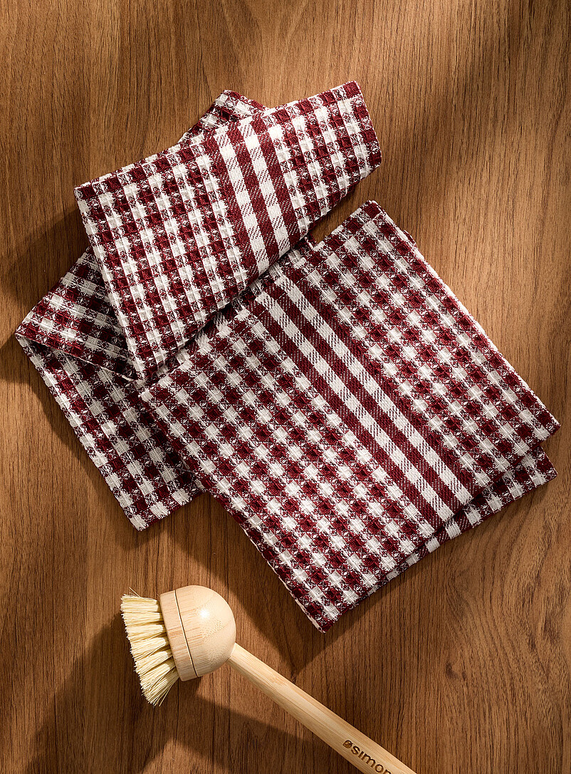 Seasonal Gingham Dishcloth Set Of 2