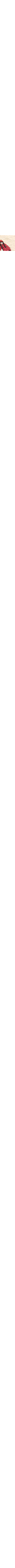 Patterned Ecru