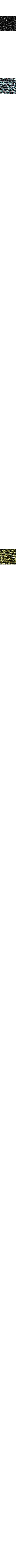 Slate Grey