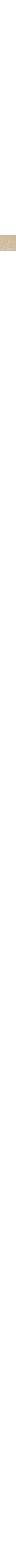 Patterned Ecru