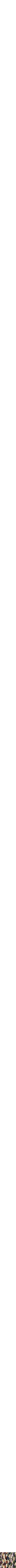 Assorti