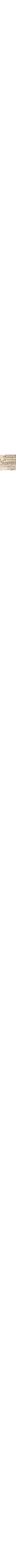 Brun à motifs