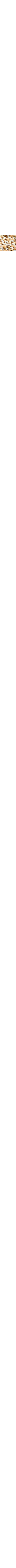 Écru à motifs