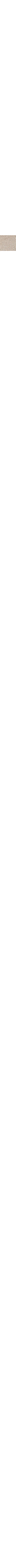 Patterned Ecru