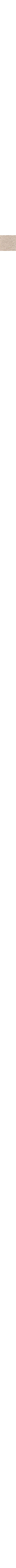Patterned Ecru
