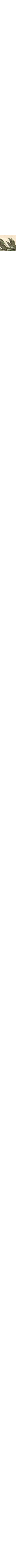 Patterned Ecru