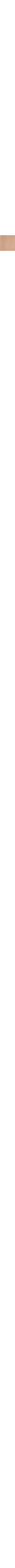 Écru à motifs