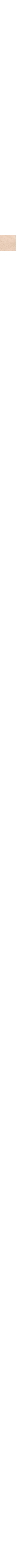 Écru à motifs