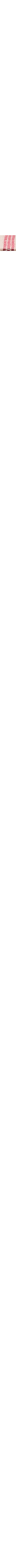 Patterned Ecru