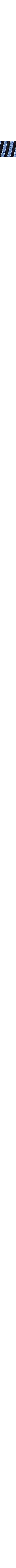 Noir à motifs