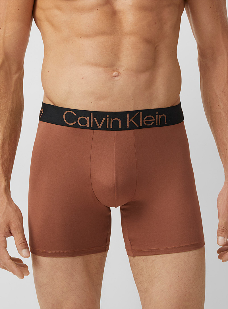 Calvin Klein: Le boxeur long tons naturels Couleur chair pour homme