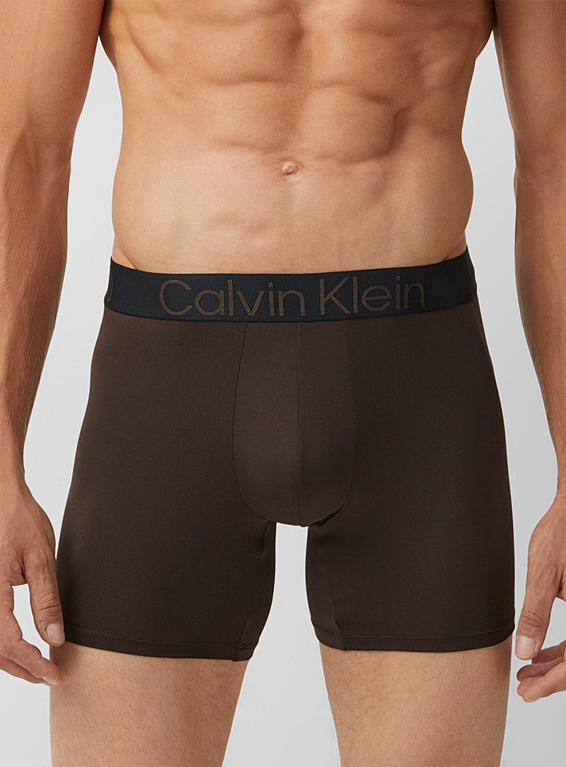 Calvin Klein Dark Brown Natural hues boxer brief for men