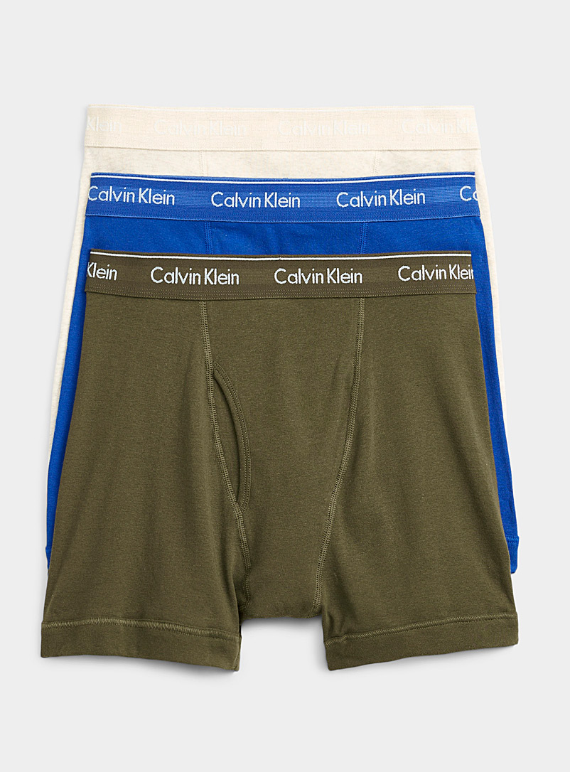 Calvin Klein Patterned Green Classic boxer briefs 3-pack for men