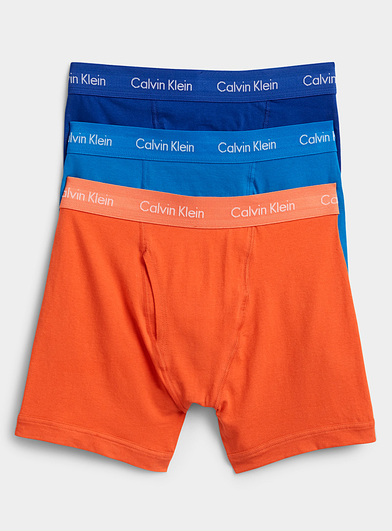 Calvin Klein: Les boxeurs longs couleurs fraîches Emballage de 3 Bleu à motifs pour homme