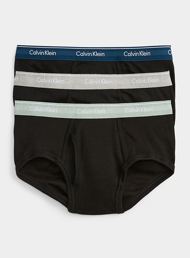 Calvin Klein: Les slips pur coton bande colorée Emballage de 3 Noir à motifs pour homme